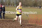 Senior men, 2020 British Athletics Inter Counties Cross Country Champs., Prestwold Hall, Loughborough. Photo: David T. Hewitson/Sports for All Pics